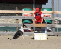 /album/fotogaleria-gecko-nirreterrit-aka-/aka-a-lenka2-jpg1/